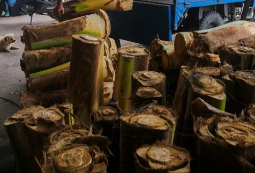  Củ hủ dừa ngâm chua ngọt cho món ăn ngon