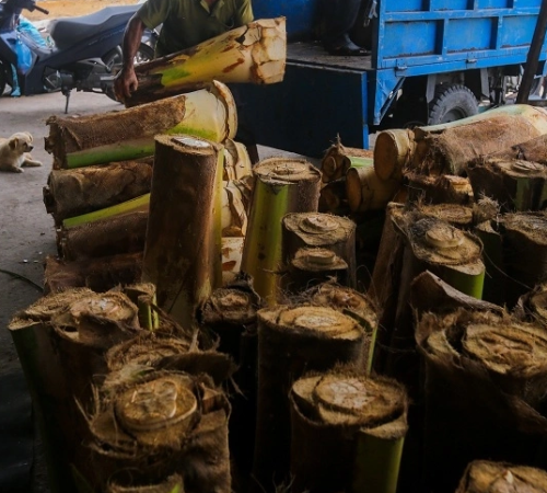  Củ hủ dừa ngâm chua ngọt cho món ăn ngon